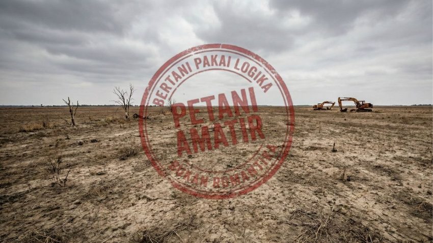 Pemandangan lahan pertanian food estate yang luas namun gersang dan terbengkalai, dengan alat berat ekskavator tua yang ditinggalkan di tengah ladang kosong di bawah langit mendung.